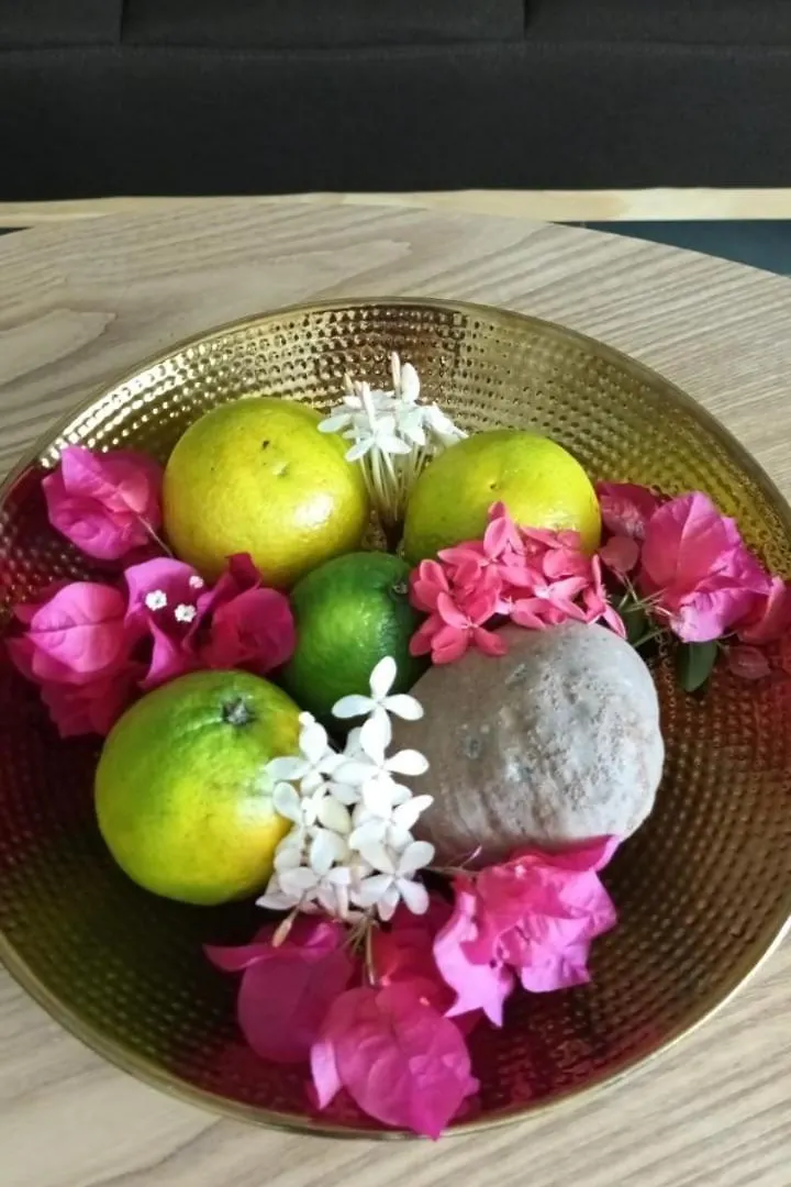 Apartment Studio Bilimbi Guadeloupe Village Vacances A Sainte-Anne Proche De Saint-Francois Guadeloupe