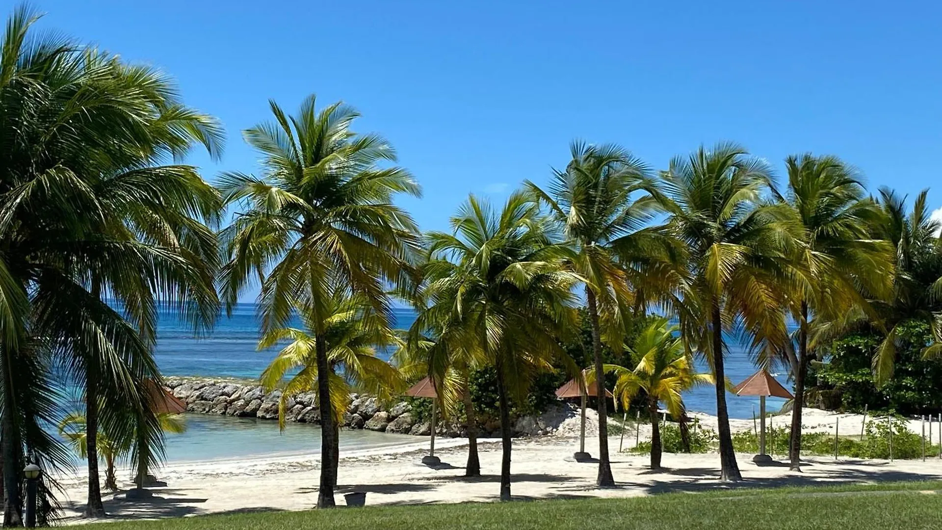 Studio Bilimbi Guadeloupe Village Vacances A Sainte-Anne Proche De Saint-Francois contacts