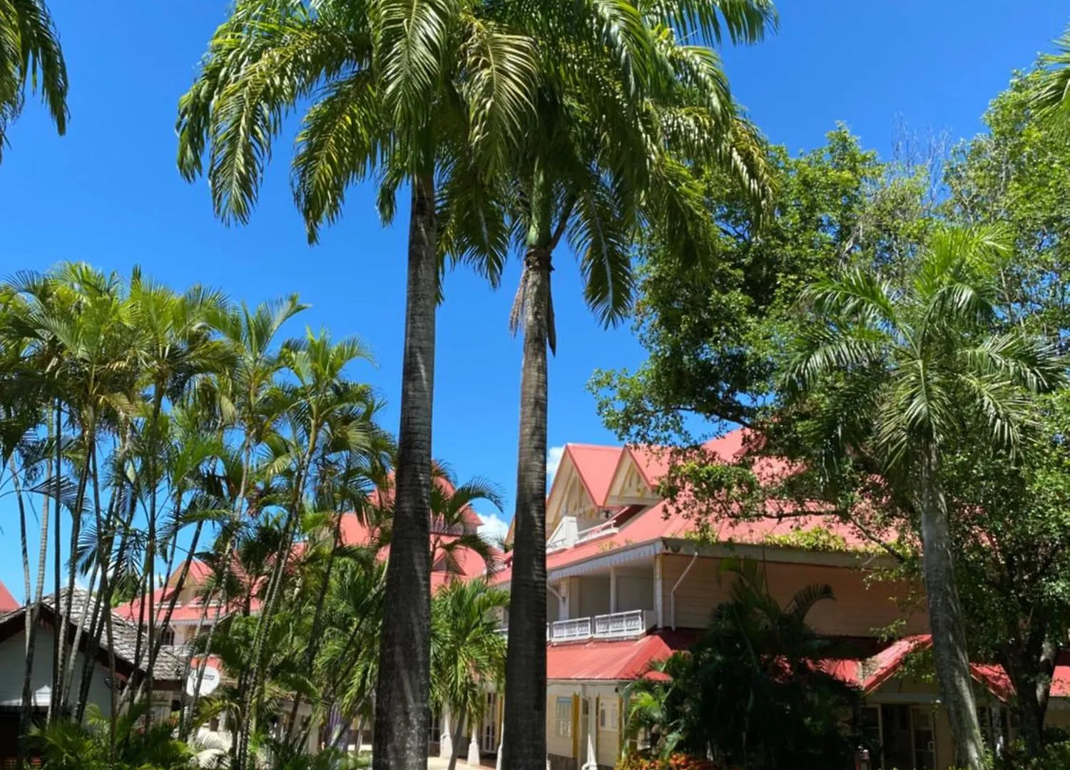 Apartment Studio Bilimbi Guadeloupe Village Vacances A Sainte-Anne Proche De Saint-Francois Guadeloupe
