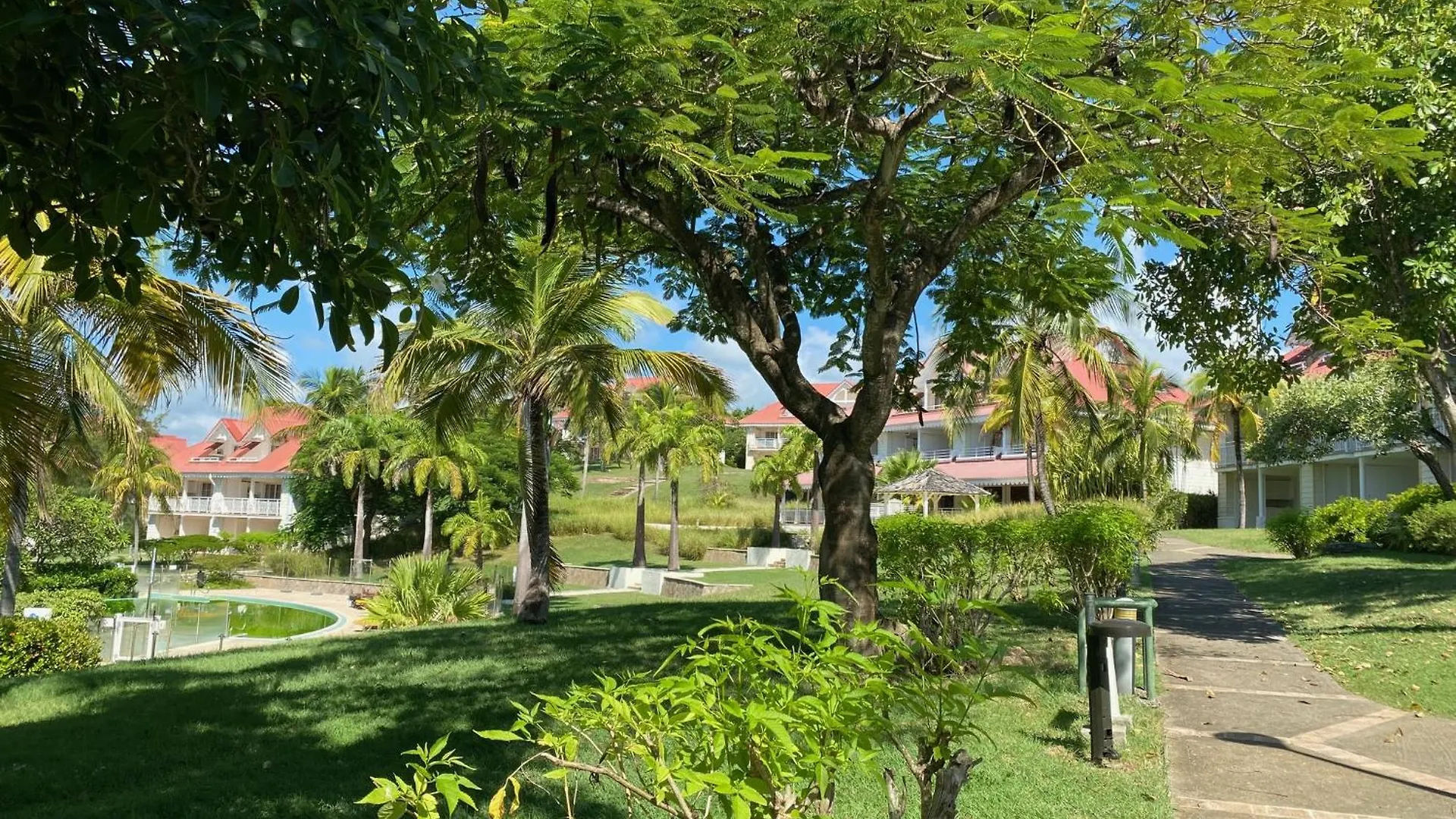 Apartment Studio Bilimbi Guadeloupe Village Vacances A Sainte-Anne Proche De Saint-Francois